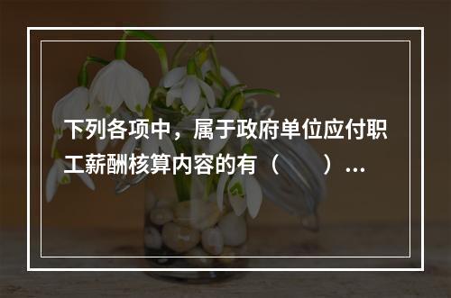 下列各项中，属于政府单位应付职工薪酬核算内容的有（　　）。