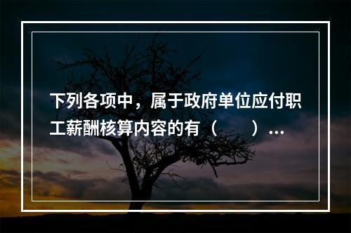 下列各项中，属于政府单位应付职工薪酬核算内容的有（　　）。