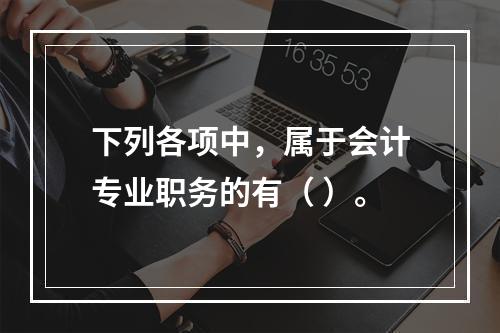 下列各项中，属于会计专业职务的有（ ）。