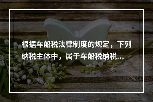 根据车船税法律制度的规定，下列纳税主体中，属于车船税纳税人的