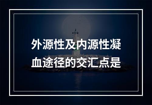 外源性及内源性凝血途径的交汇点是