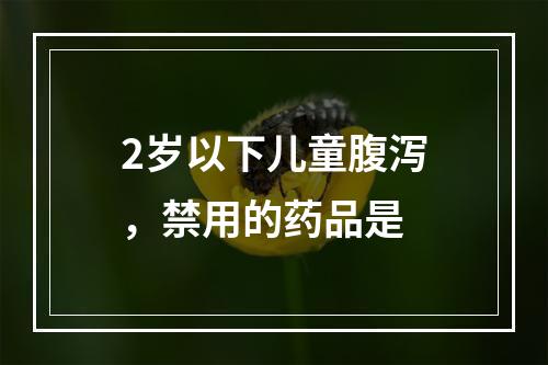 2岁以下儿童腹泻，禁用的药品是