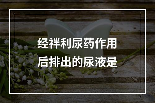 经袢利尿药作用后排出的尿液是