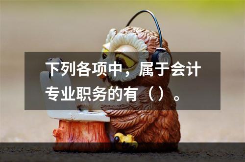 下列各项中，属于会计专业职务的有（ ）。