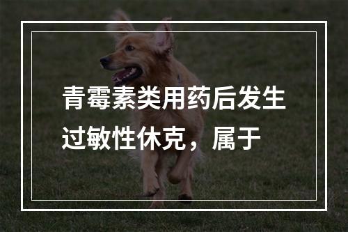 青霉素类用药后发生过敏性休克，属于