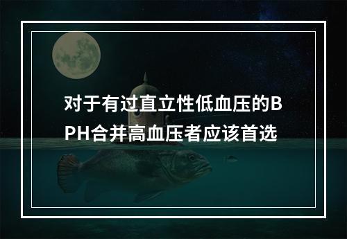 对于有过直立性低血压的BPH合并高血压者应该首选