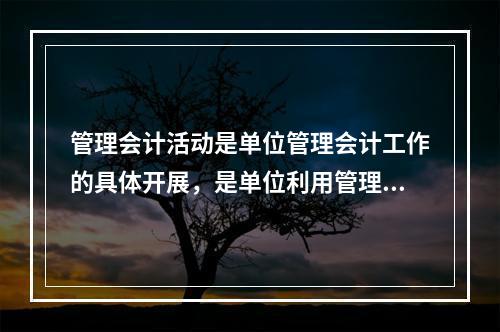 管理会计活动是单位管理会计工作的具体开展，是单位利用管理会计