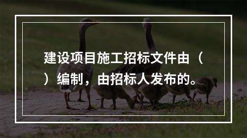 建设项目施工招标文件由（）编制，由招标人发布的。