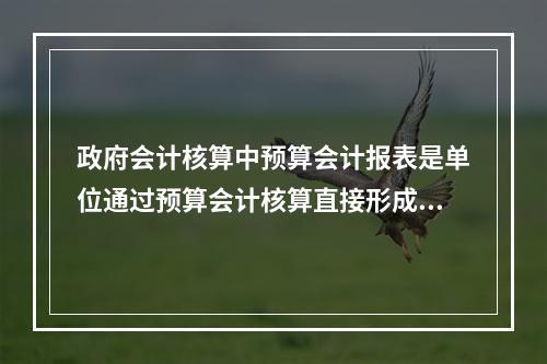 政府会计核算中预算会计报表是单位通过预算会计核算直接形成的报