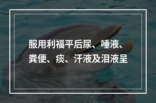 服用利福平后尿、唾液、粪便、痰、汗液及泪液呈