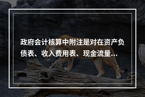 政府会计核算中附注是对在资产负债表、收入费用表、现金流量表等