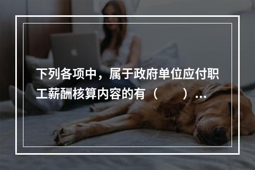 下列各项中，属于政府单位应付职工薪酬核算内容的有（　　）。