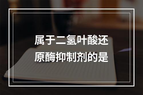 属于二氢叶酸还原酶抑制剂的是