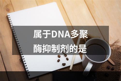 属于DNA多聚酶抑制剂的是