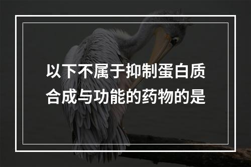 以下不属于抑制蛋白质合成与功能的药物的是