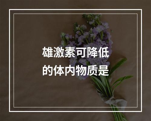 雄激素可降低的体内物质是