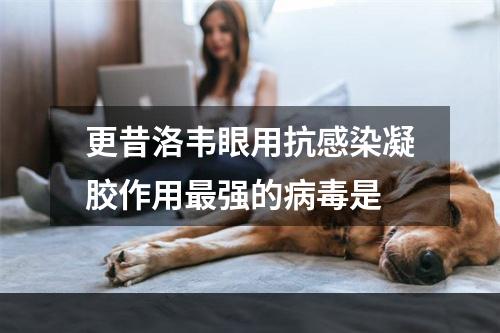 更昔洛韦眼用抗感染凝胶作用最强的病毒是