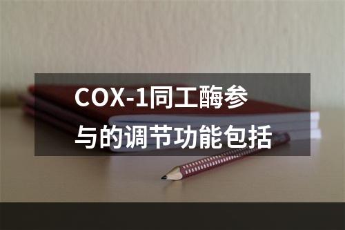 COX-1同工酶参与的调节功能包括