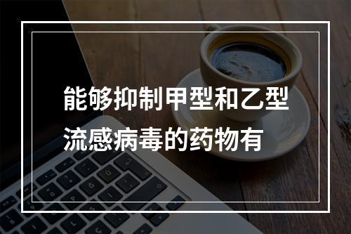 能够抑制甲型和乙型流感病毒的药物有