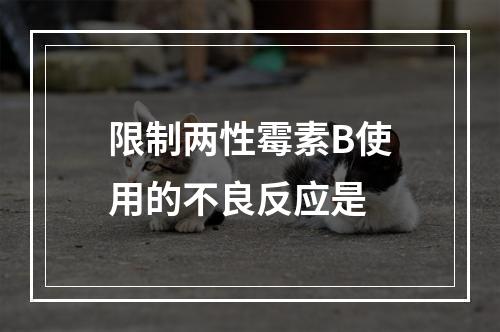 限制两性霉素B使用的不良反应是