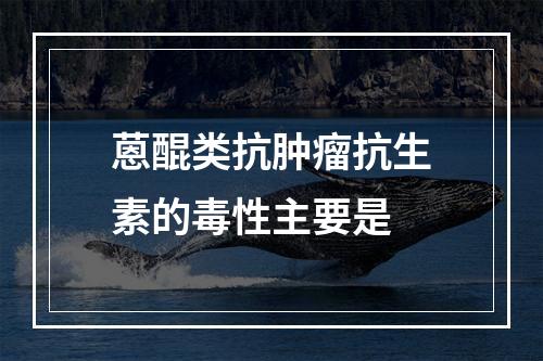 蒽醌类抗肿瘤抗生素的毒性主要是