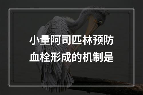 小量阿司匹林预防血栓形成的机制是