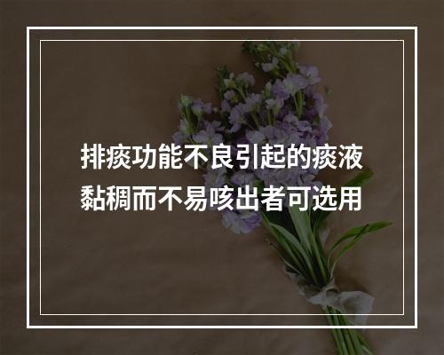 排痰功能不良引起的痰液黏稠而不易咳出者可选用