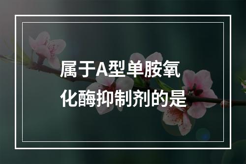 属于A型单胺氧化酶抑制剂的是