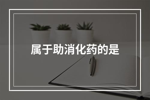 属于助消化药的是