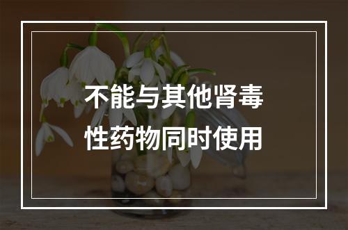 不能与其他肾毒性药物同时使用