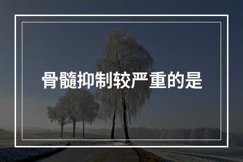 骨髓抑制较严重的是