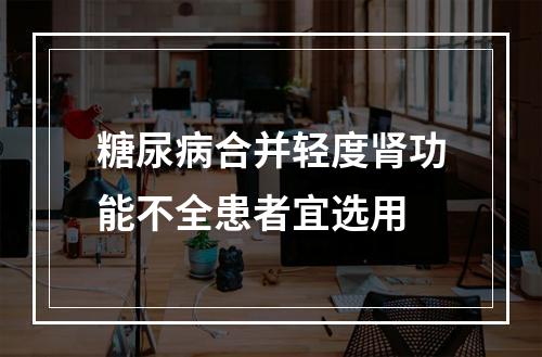 糖尿病合并轻度肾功能不全患者宜选用