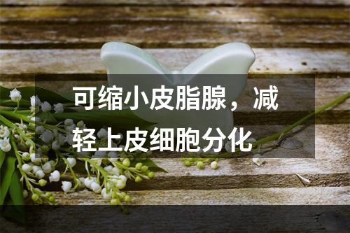 可缩小皮脂腺，减轻上皮细胞分化