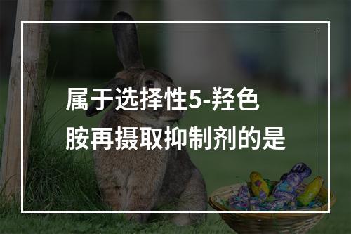 属于选择性5-羟色胺再摄取抑制剂的是