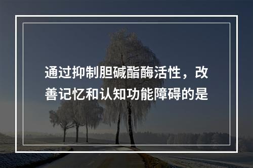 通过抑制胆碱酯酶活性，改善记忆和认知功能障碍的是