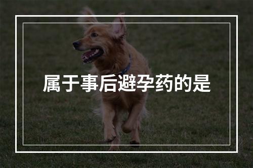 属于事后避孕药的是