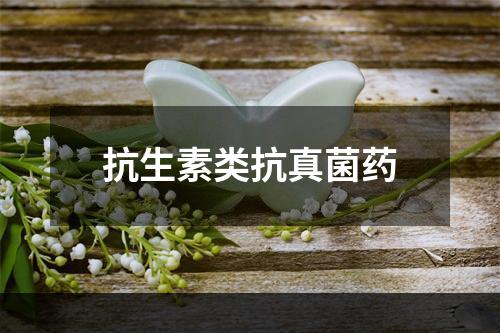 抗生素类抗真菌药