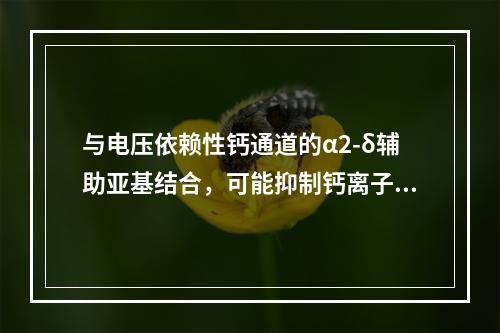 与电压依赖性钙通道的α2-δ辅助亚基结合，可能抑制钙离子内流