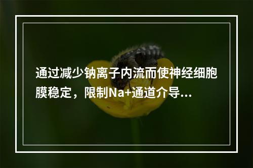 通过减少钠离子内流而使神经细胞膜稳定，限制Na+通道介导的发