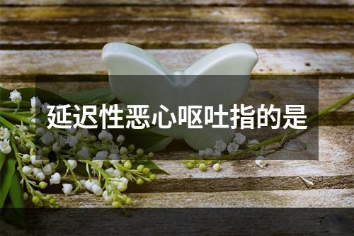 延迟性恶心呕吐指的是