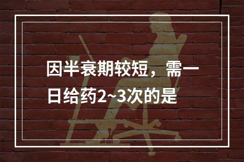 因半衰期较短，需一日给药2~3次的是