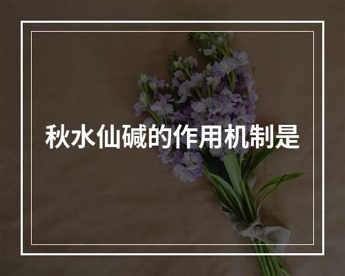 秋水仙碱的作用机制是