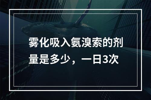 雾化吸入氨溴索的剂量是多少，一日3次