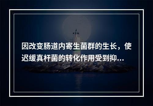 因改变肠道内寄生菌群的生长，使迟缓真杆菌的转化作用受到抑制，