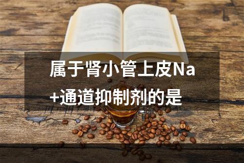 属于肾小管上皮Na+通道抑制剂的是