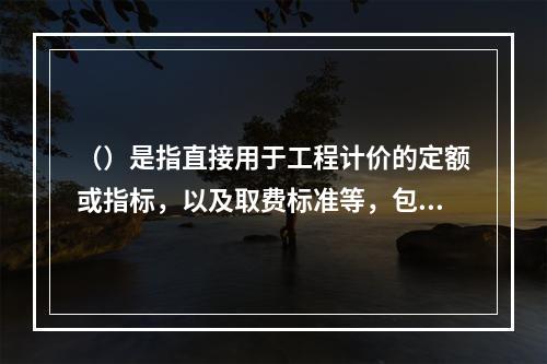 （）是指直接用于工程计价的定额或指标，以及取费标准等，包括预