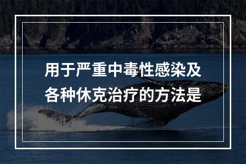 用于严重中毒性感染及各种休克治疗的方法是