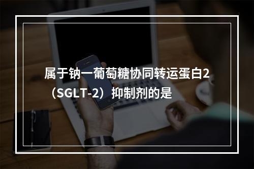 属于钠一葡萄糖协同转运蛋白2（SGLT-2）抑制剂的是