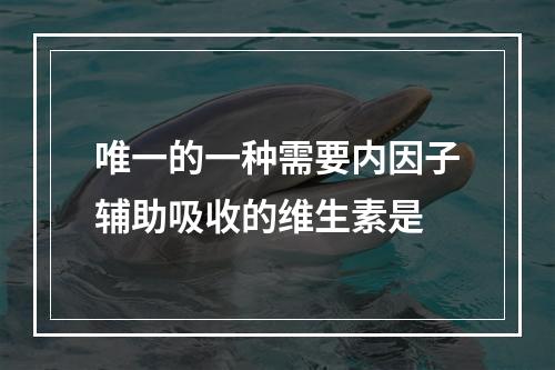 唯一的一种需要内因子辅助吸收的维生素是