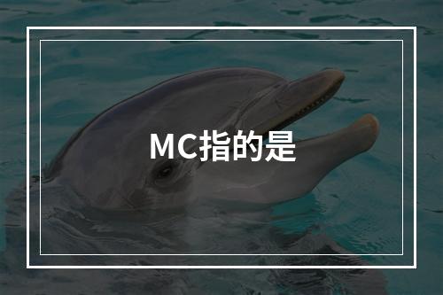 MC指的是